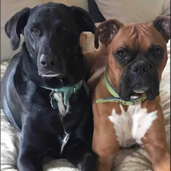 Share for Share Max 30 Please Comment When Done I will share back - Picture 12 of 13